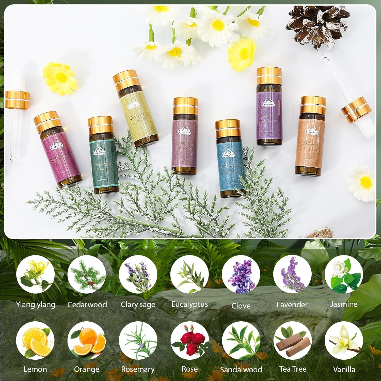 Fragrance Essential Oils Set - 14Pcs, Aromatherapy Oils for Skin, Diffusers, Home Care, Humidifier Laundry, Candle Making - Tea Tree, Sandalwood, Lavender, Vanilla, Eucalyptus and More (5Ml)